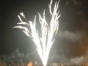bild (41)